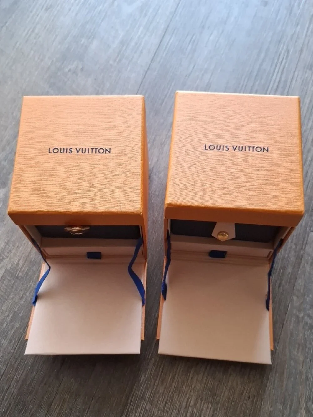 Louis Vuitton pair louis